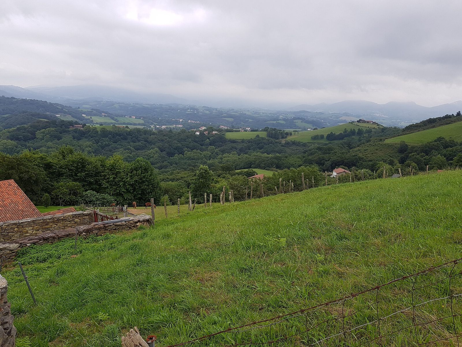 Prairie verte et vallée basque